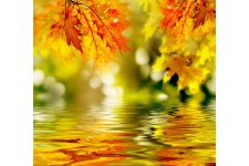 Photo of Oakley Photo of Oakley