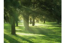 Photo of Park Districts Photo of Park Districts