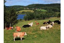 Photo of Rubin Photo of Rubin