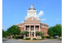 Photo of Sunny Photo of Sunny